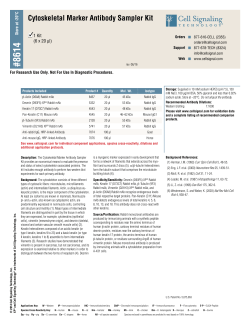 Cytoskeletal Marker Antibody Sampler Kit