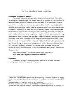 The Effect of Breaths per Minute on Heart Rate - wfs