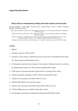 Supporting Information