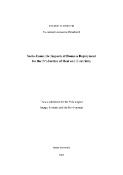 CHAPTER 1 - Energy Systems Research Unit