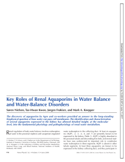 Key Roles of Renal Aquaporins in Water Balance and