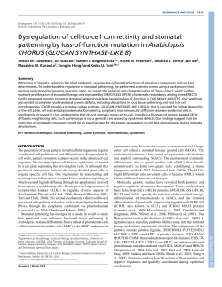Dysregulation of cell-to-cell connectivity and stomatal