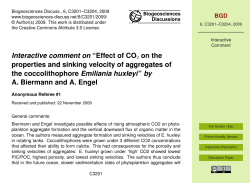Effect of CO2 on the properties and sinking velocity of aggregates of