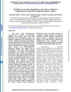Flexibility in Anaerobic Metabolism as Revealed in a Mutant of
