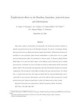 Neighborhood effects in the Brazilian Amaz&ocirc;nia