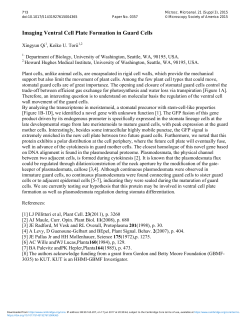 Imaging Ventral Cell Plate Formation in Guard Cells