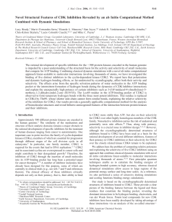 Novel Structural Features of CDK Inhibition Revealed by an ab Initio