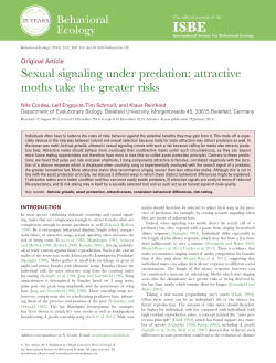 Sexual signaling under predation: attractive moths take the greater
