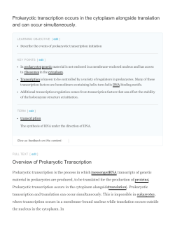 Prokaryotic transcription occurs in the cytoplasm