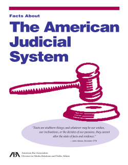 Facts About The American Judicial System