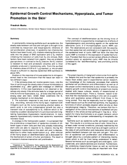 Epidermal Growth Control Mechanisms