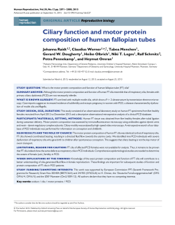 Ciliary function and motor protein composition of