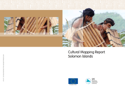 Cultural Mapping Report