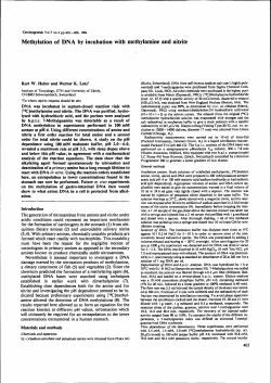 Methylation of DNA by incubation with methylamine and nilrite