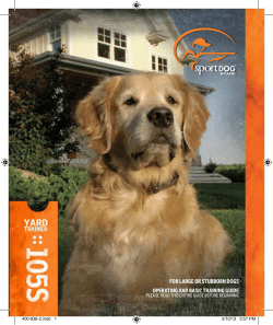 for large or stubborn dogs operating and basic training