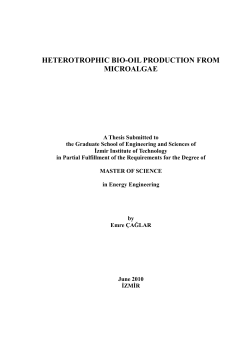 HETEROTROPHIC BIO-OIL PRODUCTION FROM MICROALGAE