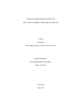 SURFACE CHARGE DENSITY EFFECT ON HBV CAPSID