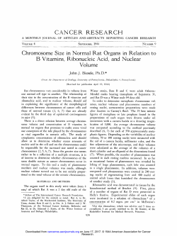 CANCER RESEARCH Chromosome Size in Normal Rat Organs in