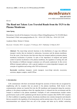 The Road not Taken: Less Traveled Roads from the TGN to the