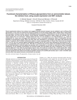 Functional characterization of Rhesus glycoproteins from an
