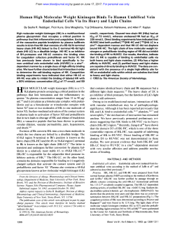 Human High Molecular Weight Kininogen Binds To