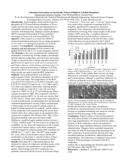 Osteoblast Interactions on Electrically Polarized Biphasic Calcium