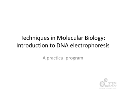 Techniques in Molecular Biology: Introduction to