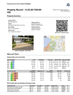 Property Record - 13-22-28-7229-00- 020