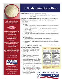 US Medium Grain Rice