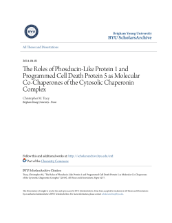 The Roles of Phosducin-Like Protein 1 and Programmed Cell Death