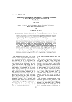 Crustacean Neuromuscular Mechanisms: Functional Morphology of