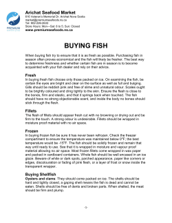 buying fish - Premium Seafoods Group