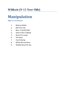 Active8 Wildcats 9-11 Stability(High on Balance)