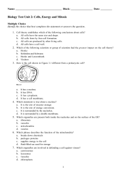 Biology Test Unit 2: Cells, Energy and Mitosis