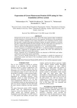 Expression of Green Fluorescent Protein (GFP) using In Vitro