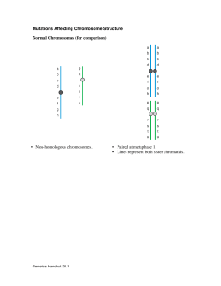 Mutations Affecting Chromosome Structure Normal Chromosomes
