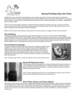 Rabbit Proofing, from SD-HRS