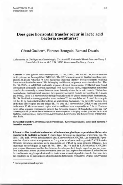 Does gene horizontal transfer occur in lactic acid bacteria