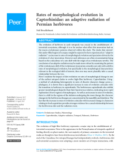 Rates of morphological evolution in Captorhinidae: an