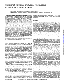 Functional diameters of alveolar microvessels at