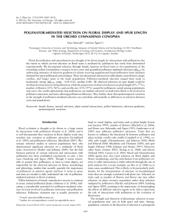 pollinator-mediated selection on floral display and spur length