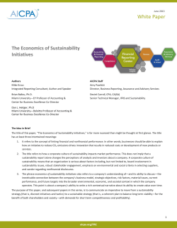 The Economics of Sustainability Initiatives