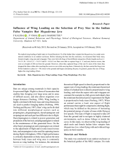 Influence of Wing Loading on the Selection of Prey Size in the Indian
