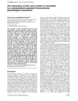 The interaction of titin and a-actinin is controlled by a phospholipid