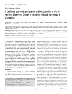 A combined proteomic and genetic analysis identifies a role for the