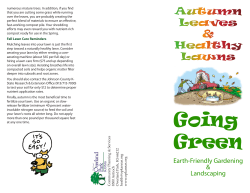 Earth Friendly Gardening And Landscaping