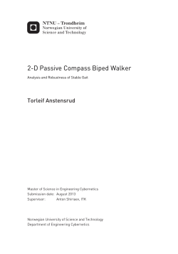 2-D Passive Compass Biped Walker