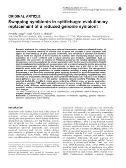 Swapping symbionts in spittlebugs: evolutionary
