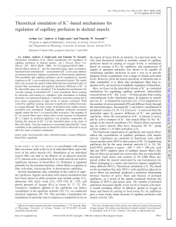 Theoretical simulation of K - American Journal of Physiology