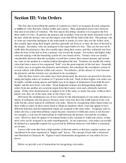 Section III: Vein Orders
